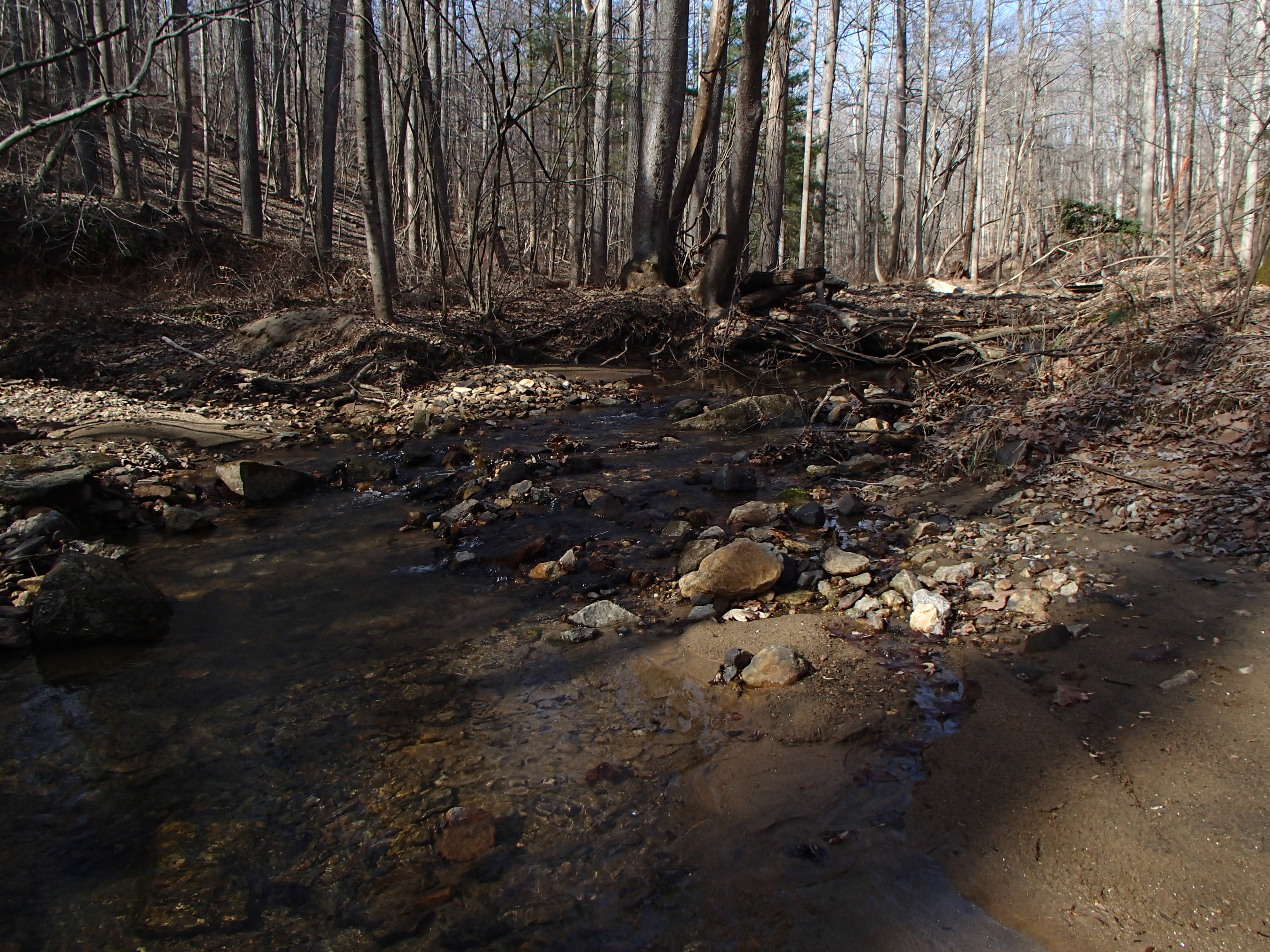 Field photo showing stream conditions at site RKGR-119-S-2016_Midpoint looking upstream